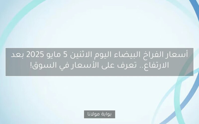 أسعار الفراخ البيضاء اليوم الاثنين 5 مايو 2025 بعد الارتفاع.. تعرف على الأسعار في السوق!