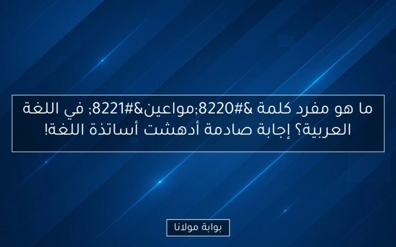 ما هو مفرد كلمة “مواعين” في اللغة العربية؟ إجابة صادمة أدهشت أساتذة اللغة!