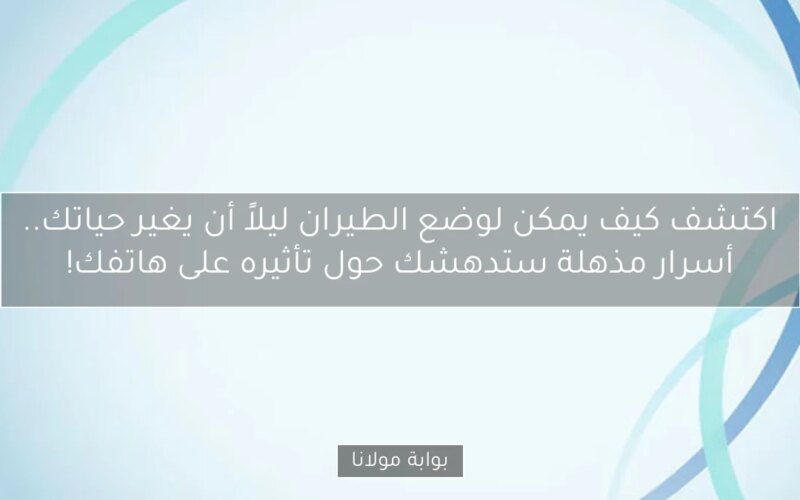 اكتشف كيف يمكن لوضع الطيران ليلاً أن يغير حياتك.. أسرار مذهلة ستدهشك حول تأثيره على هاتفك!
