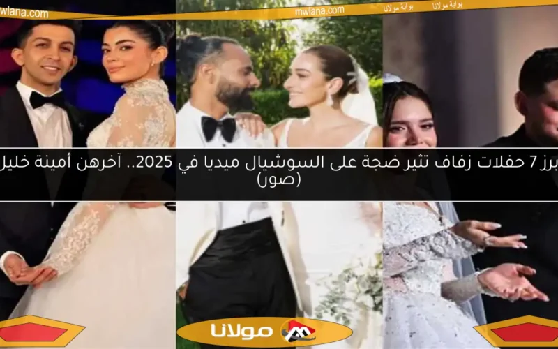 أبرز 7 حفلات زفاف تثير ضجة على السوشيال ميديا في 2025.. آخرهن أمينة خليل (صور)
