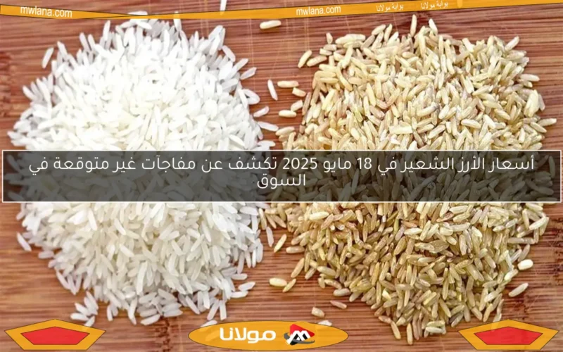 أسعار الأرز الشعير في مصر اليوم 7 مايو 2025.. تعرف على أحدث التغيرات والمستجدات