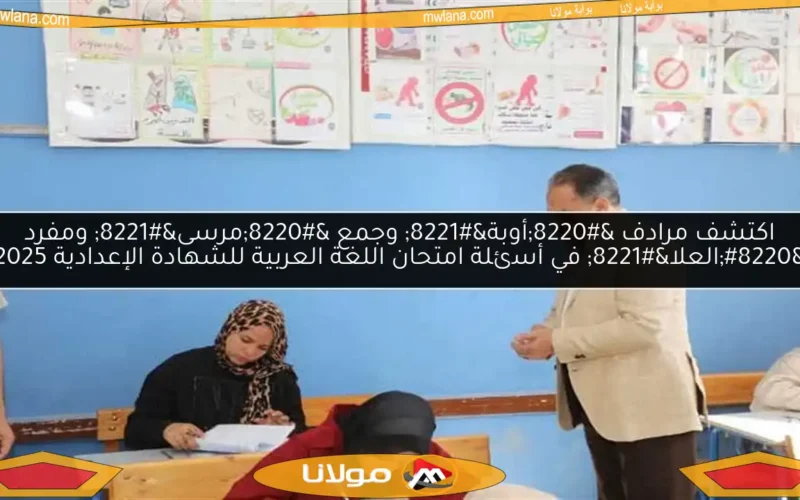 اكتشف مرادف “أوبة” وجمع “مرسى” ومفرد “العلا” في أسئلة امتحان اللغة العربية للشهادة الإعدادية 2025