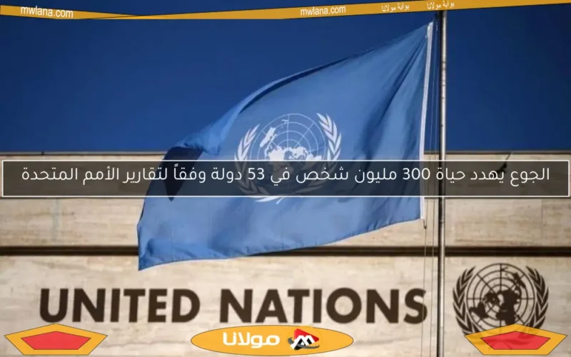 الجوع يهدد حياة 300 مليون شخص في 53 دولة وفقاً لتقارير الأمم المتحدة