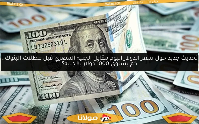 تحديث جديد حول سعر الدولار اليوم مقابل الجنيه المصري قبل عطلات البنوك.. كم يساوي 1000 دولار بالجنيه؟