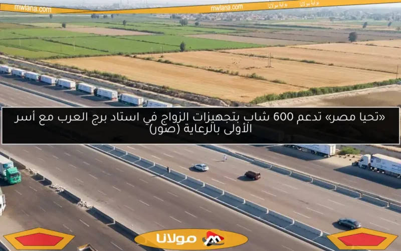 «تحيا مصر» تدعم 600 شاب بتجهيزات الزواج في استاد برج العرب مع أسر الأولى بالرعاية (صور)