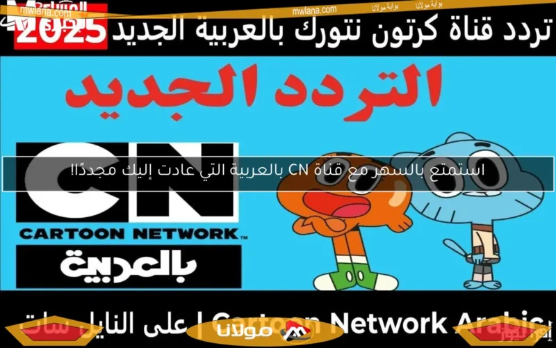 استمتع بالسهر مع قناة CN بالعربية التي عادت إليك مجددًا!