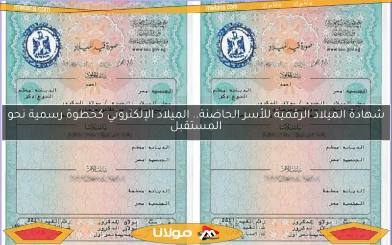 شهادة الميلاد الرقمية للأسر الحاضنة.. الميلاد الإلكتروني كخطوة رسمية نحو المستقبل