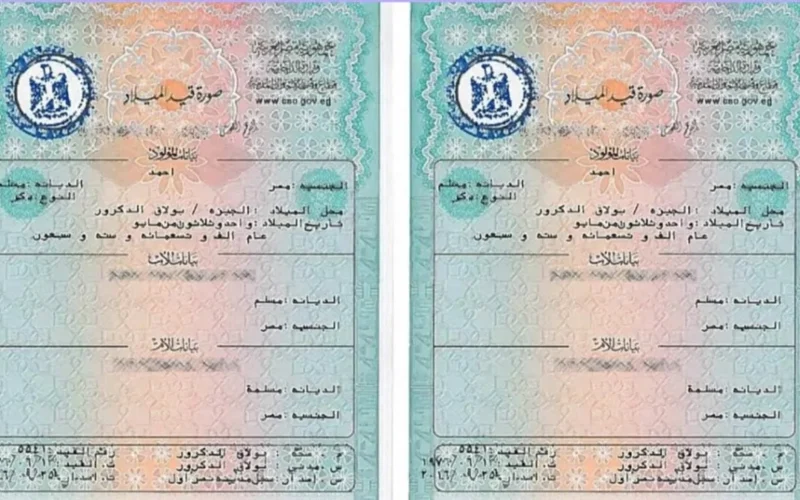 احصل على شهادتك بسهولة مع شهادة الميلاد الرقمية للأسر الحاضنة لأول مرة بدون طوابير!