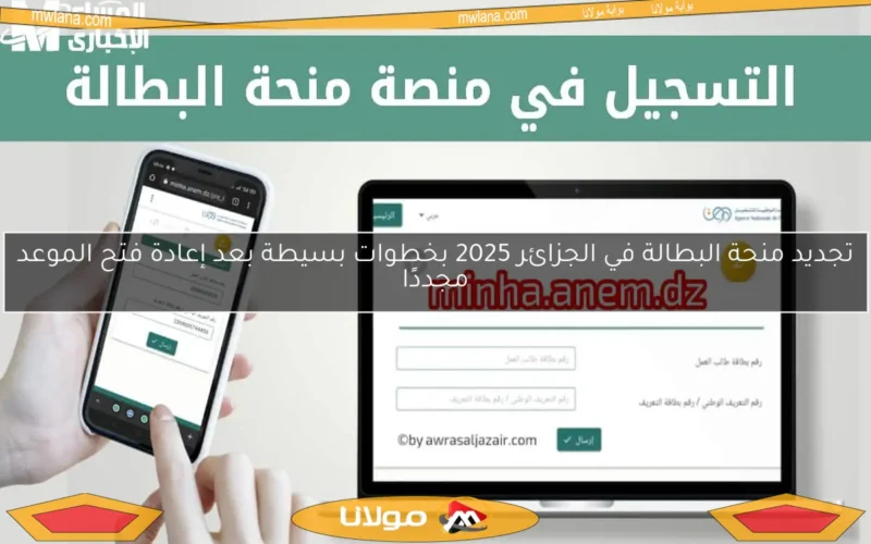 تجديد منحة البطالة في الجزائر 2025 بخطوات بسيطة بعد إعادة فتح الموعد مجددًا