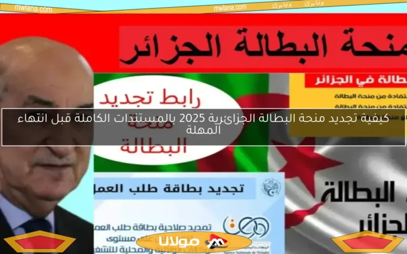 كيفية تجديد منحة البطالة الجزائرية 2025 بالمستندات الكاملة قبل انتهاء المهلة