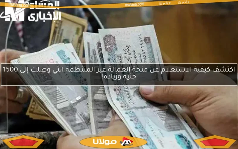 اكتشف كيفية الاستعلام عن منحة العمالة غير المنتظمة التي وصلت إلى 1500 جنيه وزيادة!