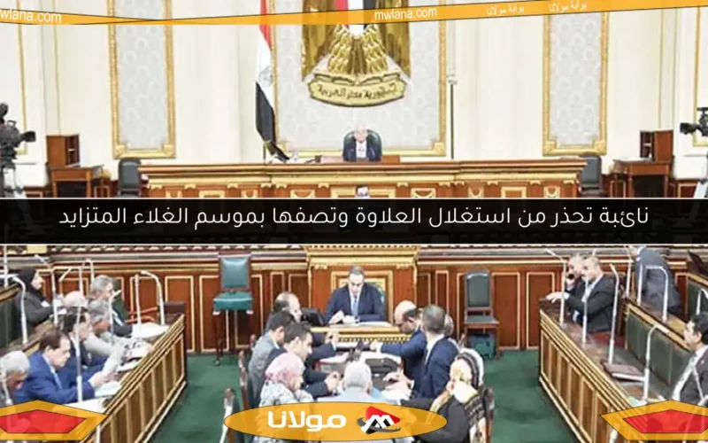 نائبة تحذر من استغلال العلاوة وتصفها بموسم الغلاء المتزايد