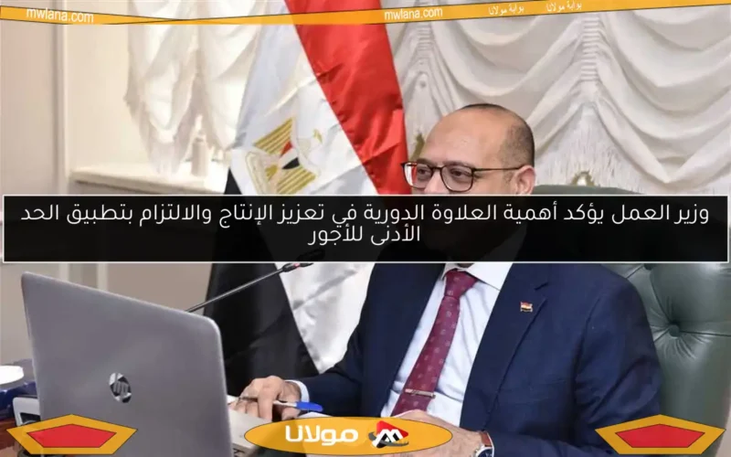 وزير العمل يؤكد أهمية العلاوة الدورية في تعزيز الإنتاج والالتزام بتطبيق الحد الأدنى للأجور