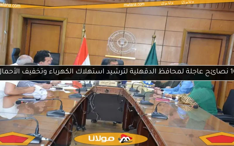 10 نصائح عاجلة لمحافظ الدقهلية لترشيد استهلاك الكهرباء وتخفيف الأحمال