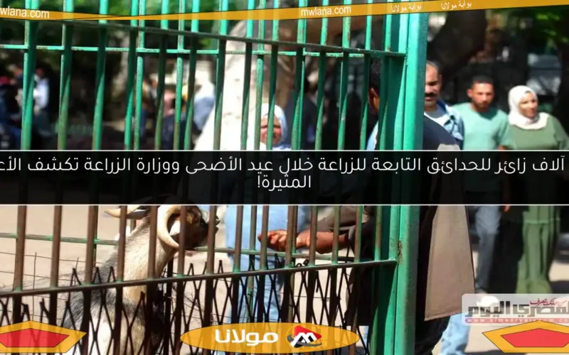103 آلاف زائر للحدائق التابعة للزراعة خلال عيد الأضحى ووزارة الزراعة تكشف الأعداد المثيرة!