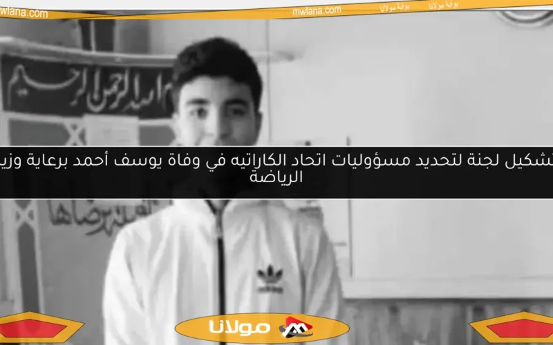 تشكيل لجنة لتحديد مسؤوليات اتحاد الكاراتيه في وفاة يوسف أحمد برعاية وزير الرياضة