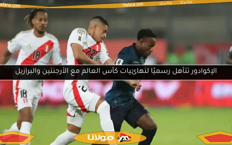 الإكوادور تتأهل رسميًا لنهائيات كأس العالم مع الأرجنتين والبرازيل