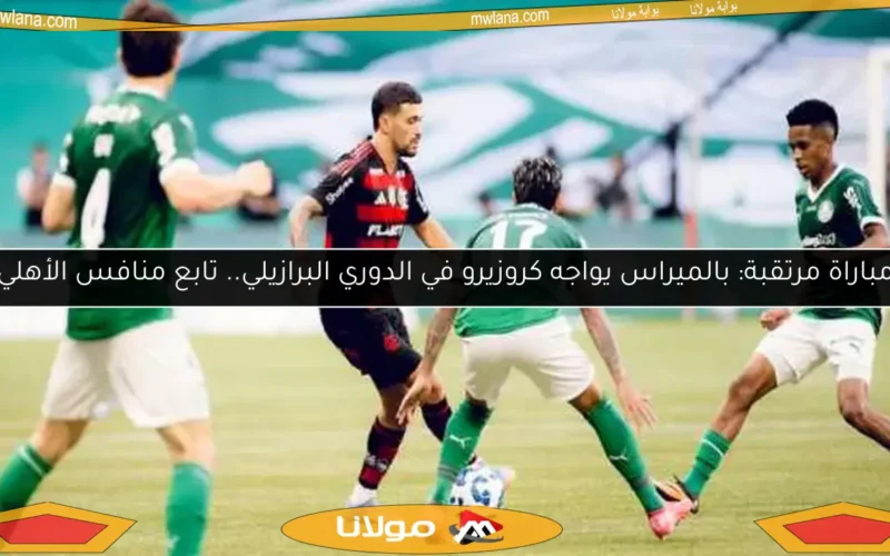 مباراة مرتقبة: بالميراس يواجه كروزيرو في الدوري البرازيلي.. تابع منافس الأهلي
