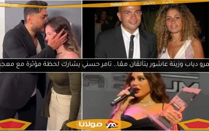 عمرو دياب وزينة عاشور يتألقان معًا.. تامر حسني يشارك لحظة مؤثرة مع معجبة