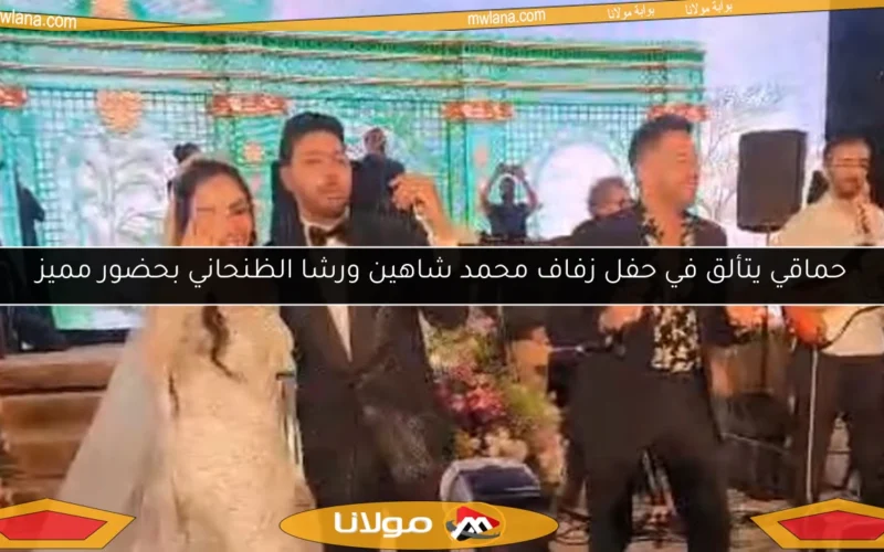 حماقي يتألق في حفل زفاف محمد شاهين ورشا الظنحاني بحضور مميز