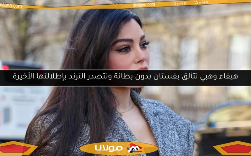 هيفاء وهبي تتألق بفستان بدون بطانة وتتصدر الترند بإطلالتها الأخيرة