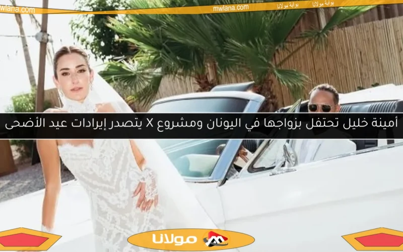 أمينة خليل تحتفل بزواجها في اليونان ومشروع X يتصدر إيرادات عيد الأضحى
