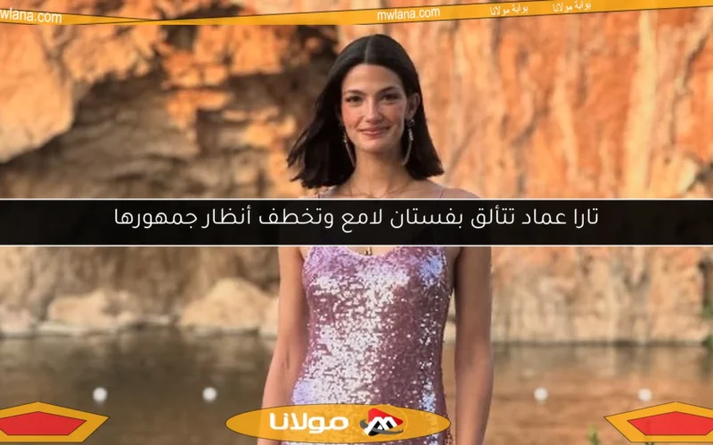 تارا عماد تتألق بفستان لامع وتخطف أنظار جمهورها