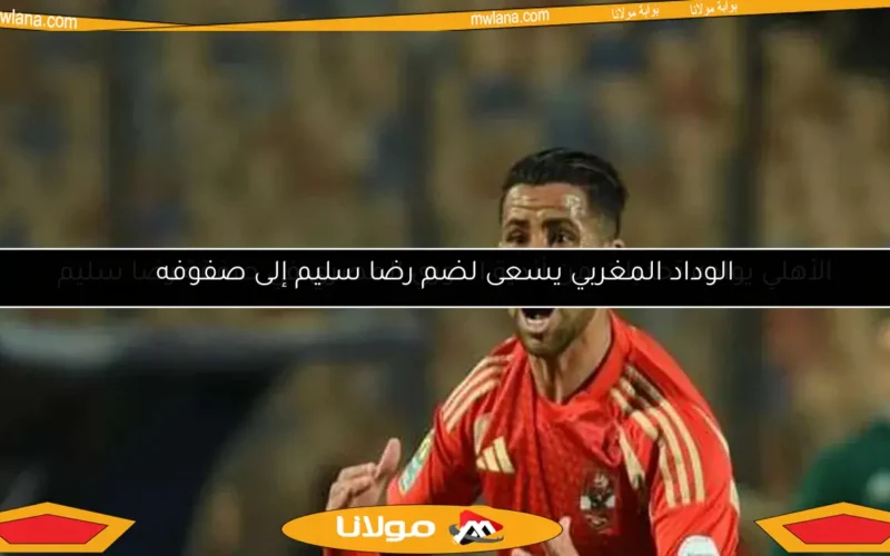 الوداد المغربي يسعى لضم رضا سليم إلى صفوفه