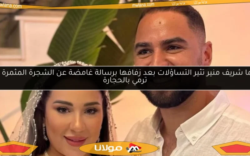 أسما شريف منير تثير التساؤلات بعد زفافها برسالة غامضة عن الشجرة المثمرة التي ترمي بالحجارة