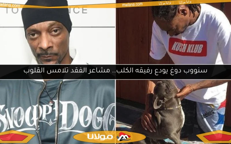 سنووب دوغ يودع رفيقه الكلب.. مشاعر الفقد تلامس القلوب