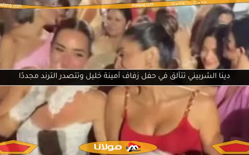 دينا الشربيني تتألق في حفل زفاف أمينة خليل وتتصدر الترند مجددًا