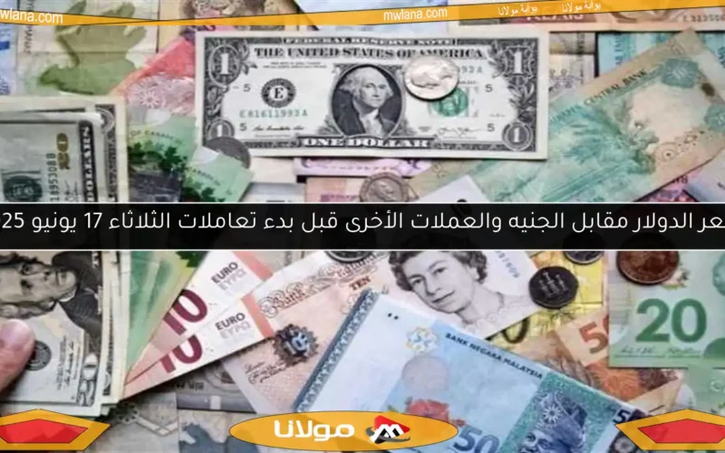 سعر الدولار مقابل الجنيه والعملات الأخرى قبل بدء تعاملات الثلاثاء 17 يونيو 2025