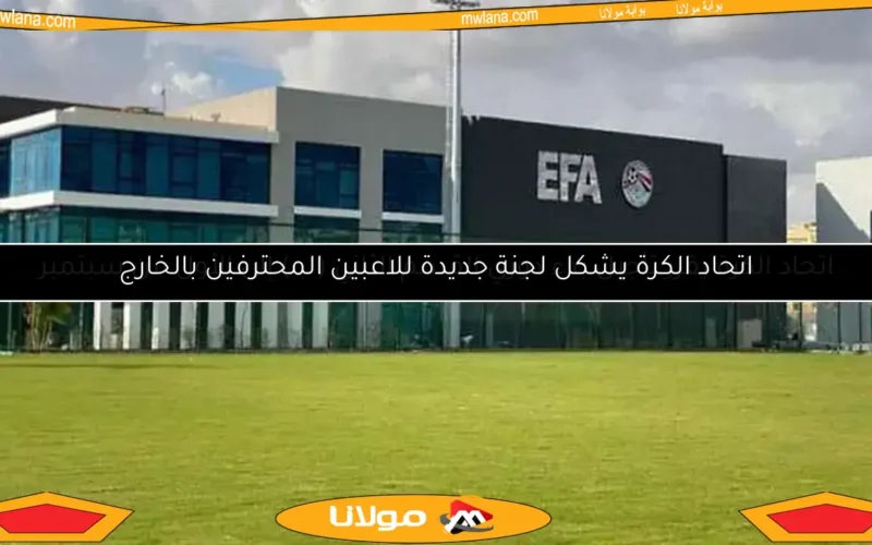 اتحاد الكرة يقرر تأجيل بدء دوري القسم الثاني (ب) إلى الأول من سبتمبر