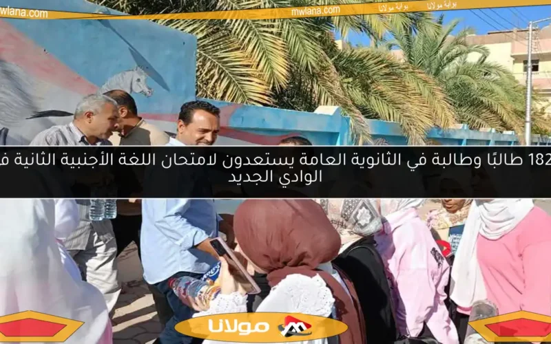 1829 طالبًا وطالبة في الثانوية العامة يستعدون لامتحان اللغة الأجنبية الثانية في الوادي الجديد