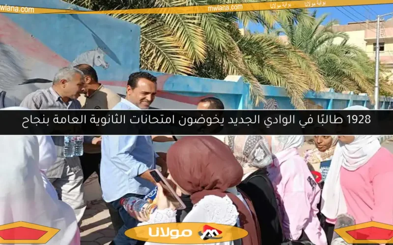 1928 طالبًا في الوادي الجديد يخوضون امتحانات الثانوية العامة بنجاح