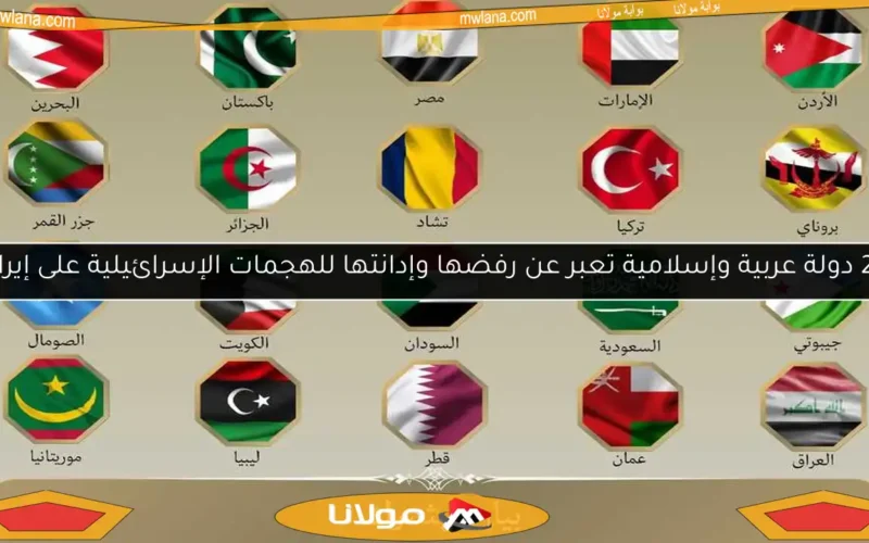 20 دولة عربية وإسلامية تعبر عن رفضها وإدانتها للهجمات الإسرائيلية على إيران