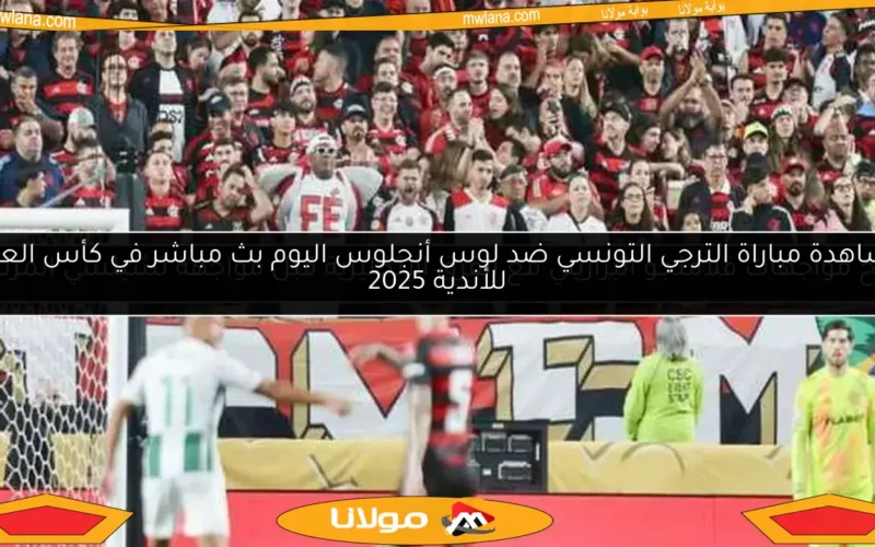 تاريخ مواجهات فلامنجو البرازيلي مع الفرق الإنجليزية قبل مواجهة تشيلسي المرتقبة