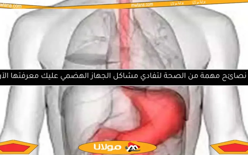 7 نصائح مهمة من الصحة لتفادي مشاكل الجهاز الهضمي عليك معرفتها الآن