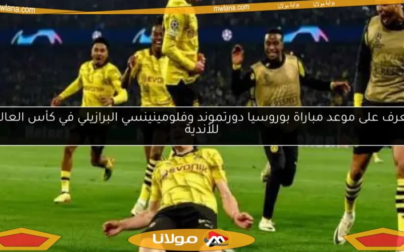 تعرف على موعد مباراة بوروسيا دورتموند وفلومينينسي البرازيلي في كأس العالم للأندية