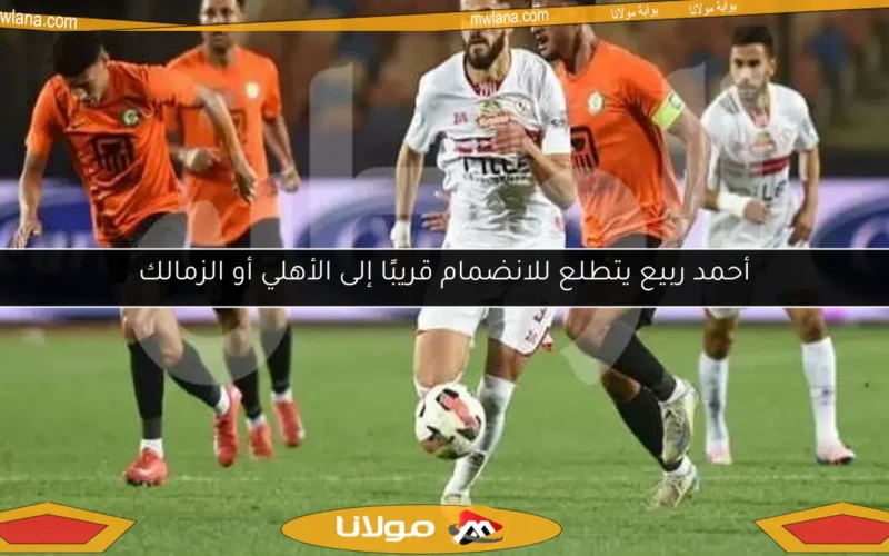 أحمد ربيع يتطلع للانضمام قريبًا إلى الأهلي أو الزمالك