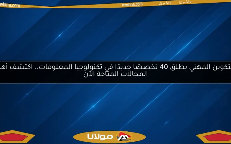 التكوين المهني يطلق 40 تخصصًا جديدًا في تكنولوجيا المعلومات.. اكتشف أهم المجالات المتاحة الآن