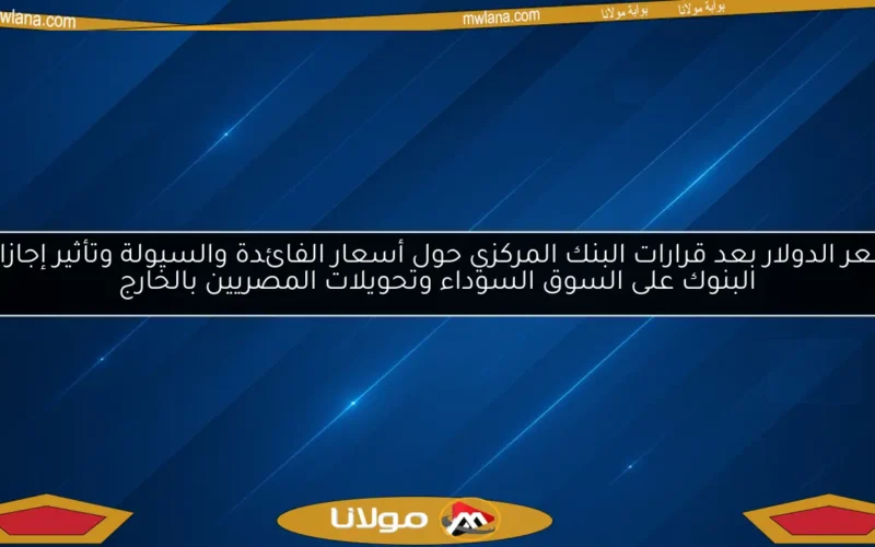 سعر الدولار بعد قرارات البنك المركزي حول أسعار الفائدة والسيولة وتأثير إجازات البنوك على السوق السوداء وتحويلات المصريين بالخارج