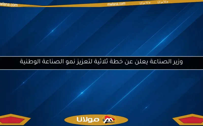 وزير الصناعة يعلن عن خطة ثلاثية لتعزيز نمو الصناعة الوطنية