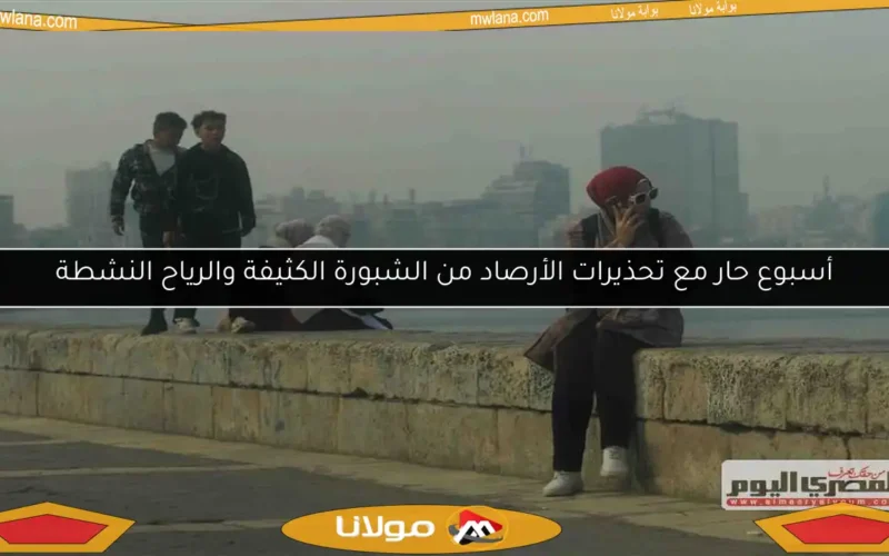 أسبوع حار مع تحذيرات الأرصاد من الشبورة الكثيفة والرياح النشطة