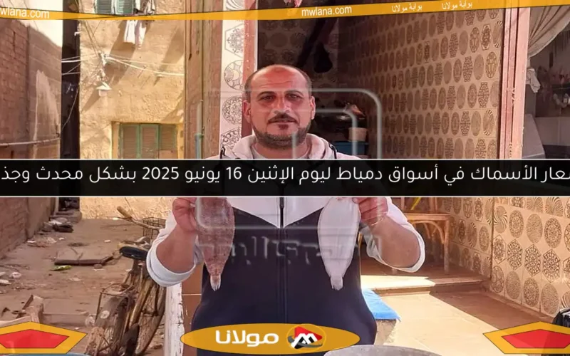أسعار الأسماك في أسواق دمياط ليوم الإثنين 16 يونيو 2025 بشكل محدث وجذاب