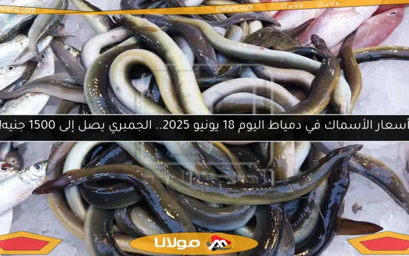 أسعار الأسماك في دمياط اليوم 18 يونيو 2025.. الجمبري يصل إلى 1500 جنيه!