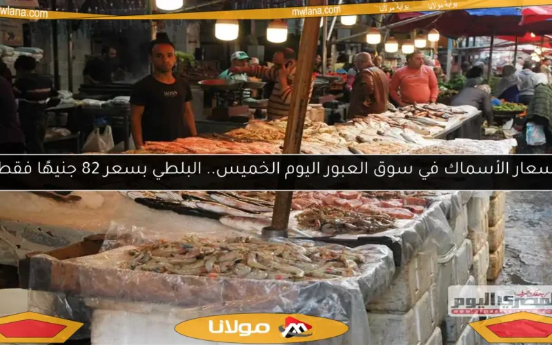 أسعار الأسماك في سوق العبور اليوم الخميس.. البلطي بسعر 82 جنيهًا فقط!