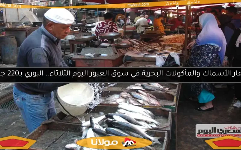 أسعار الأسماك والمأكولات البحرية في سوق العبور اليوم الثلاثاء.. البوري بـ220 جنيهًا