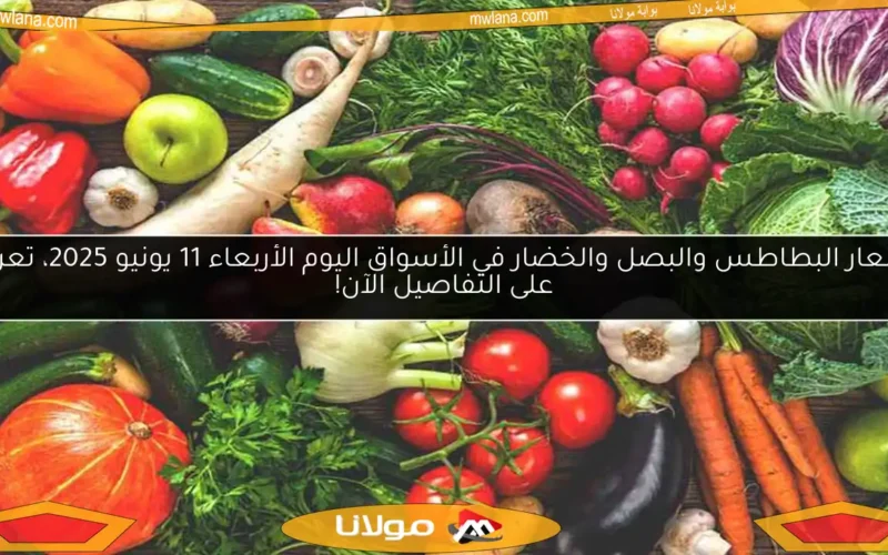 أسعار البطاطس والبصل والخضار في الأسواق اليوم الأربعاء 11 يونيو 2025، تعرف على التفاصيل الآن!