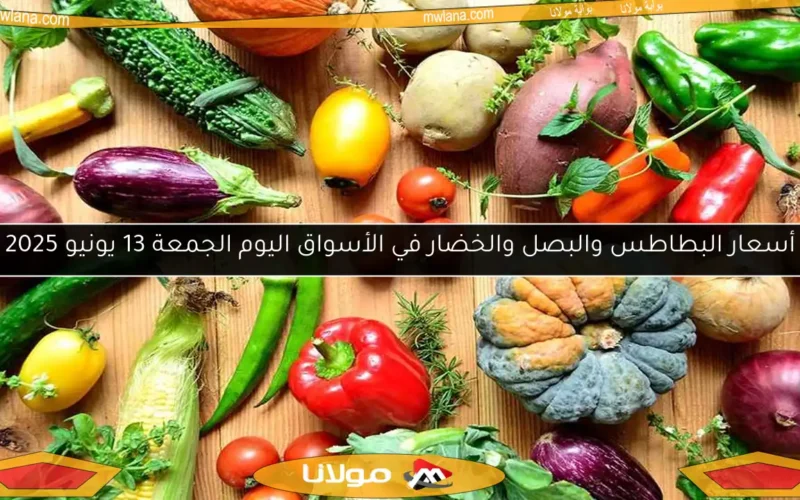 أسعار البطاطس والبصل والخضار في الأسواق اليوم الجمعة 13 يونيو 2025